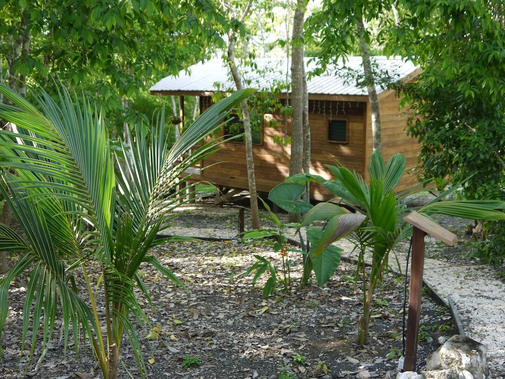 סן איגנאסיו Vanilla Hills Resort מראה חיצוני תמונה